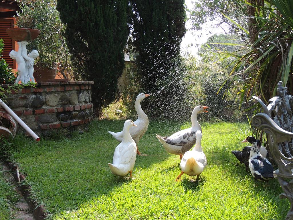 Il Cipresso Del Gallo Монтекатини Терме Екстериор снимка